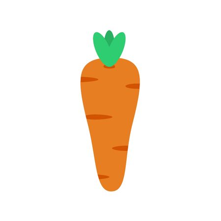 carrot orange and green vegetable flat illustration food white backgroundの写真素材