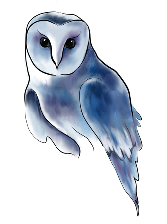 Beautiful, night, wild owlの写真素材