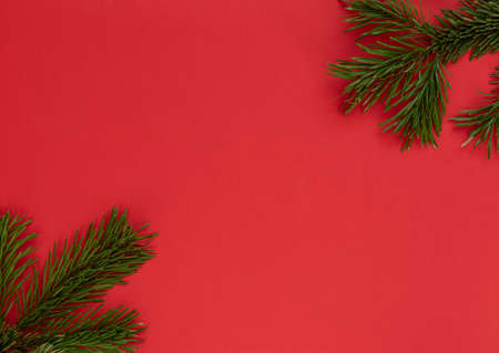 Christmas, New Year or winter red background with fir tree branches. Xmas and Happy New Year holiday...
