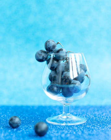 Bunch of black grapes in the glass on blue blurred background. Selective focus. Wine degustation, harvesting concepts.の写真素材
