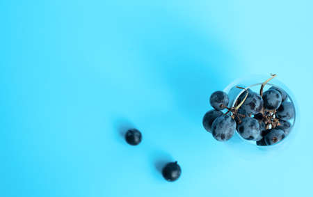Bunch of black grapes in the glass on blue blurred background. Selective focus. Wine degustation, harvesting concepts. Wide banner for copy space.の写真素材