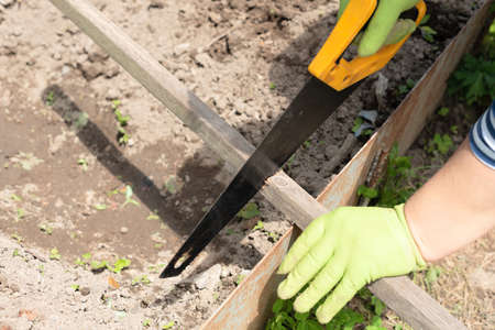 Process of sawing board at the cottage. A woman sawing wood board with hand saw close up. Selective focus. Home improvement concept.の写真素材