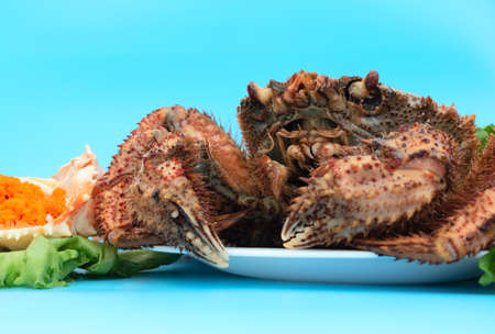 Delicious steamed crab lies on a white plate on a blue background with orange crab caviar and green...