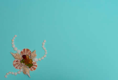 Sea shells and sea animal-formed marmalades on blue background. Summer time, minimalism concept....