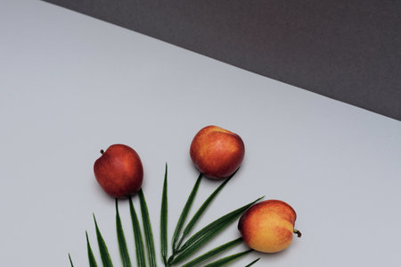Summer scene with nectarines and palm leaf on white and dark grey background. Summertime concept. Card with copy spaceの写真素材