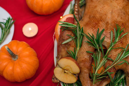 Christmas or Thanksgiving duck baked for traditional festive dinner with apples, rosemary, grapefruits on red Xmas table decorated with pumpkins and candles. Selective focusの写真素材