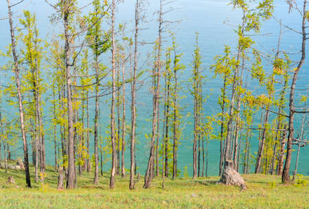 Lake Baikal at sunny summer day. Beauty of nature concept. Soft focusの写真素材