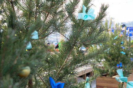 Winter background with fir branches close up with selective focus against blurred city view during Christmas holidays. Winter or New Year cozy holidays concept. High quality photoの写真素材