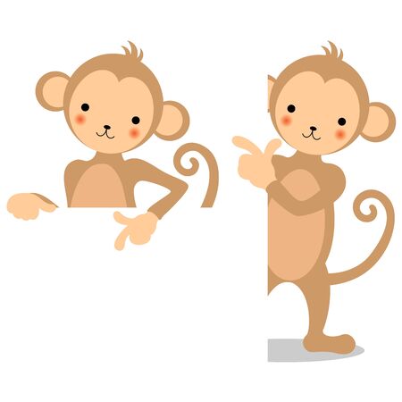 Two types of monkeys and white boardの写真素材