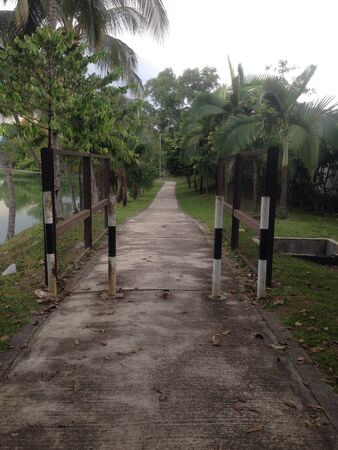 Long walk pathway in a parkの素材