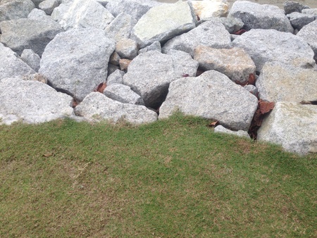 Rocks and grassの素材