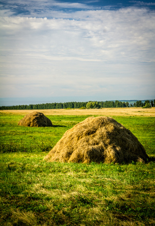 haystacks in a fieldの写真素材