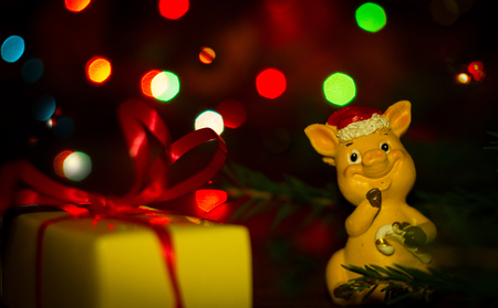 The New Year 2019 is the year of the pig. A New Year's gift and a toy pig in the branches of the Christmas tree with colorful garlandsの写真素材