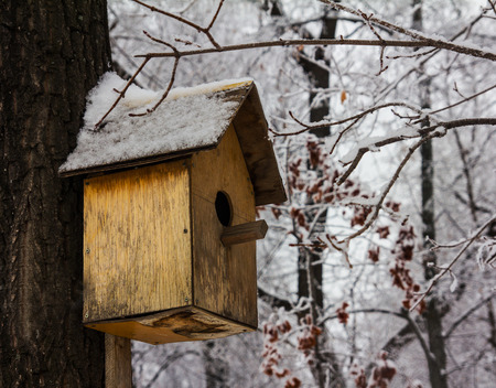 Birdhouse empty in a cold winter forest