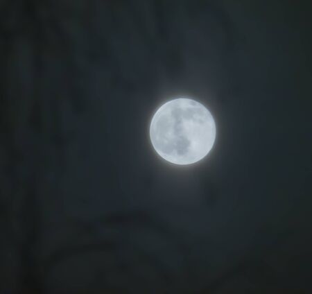Super Snow Moon, February Full Moon that is the biggest Super Moon.Silhouettes of birch branches in...