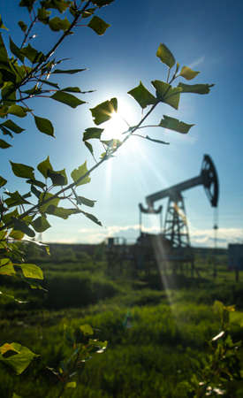 leaves on the branches of a young aspen in sunlight against the backdrop of a defocused oil pump in the backgroundの写真素材