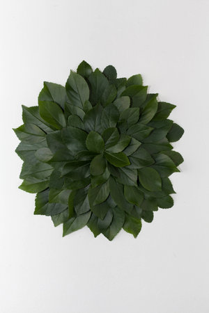 Creative layout made of green leaves. Flat lay. Nature concept