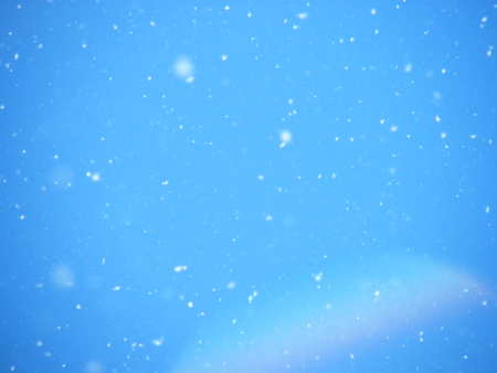 Poplar fluff on a background of the blue sky.の写真素材