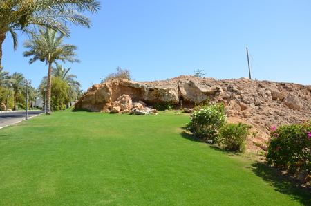 Forms of the Red Sea coast in Sharm El Sheikhの写真素材