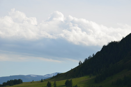 Altai foothills in spring, the hills and the forestの写真素材