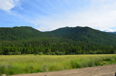 Altai foothills in spring, the hills and the forestの写真素材