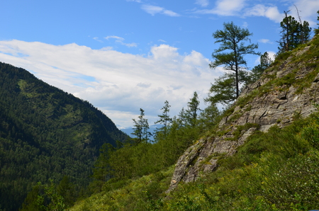 Travel to Altay Mountains during the holidaysの写真素材