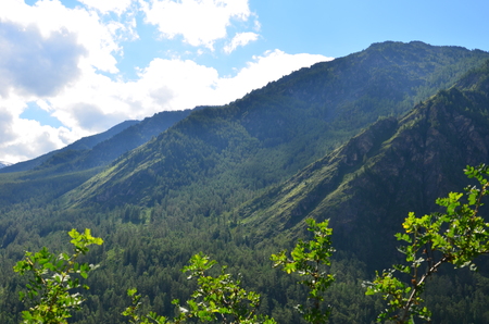 Travel to Altay Mountains during the holidaysの写真素材