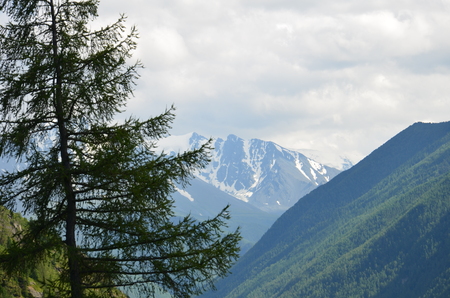 Travel to Altay Mountains during the holidaysの写真素材