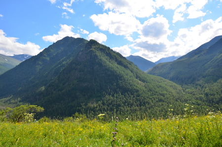 Travel to Altay Mountains during the holidaysの写真素材
