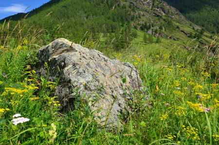 Travel to Altay Mountains during the holidaysの写真素材