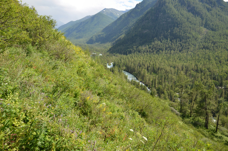 Travel to Altay Mountains during the holidaysの写真素材