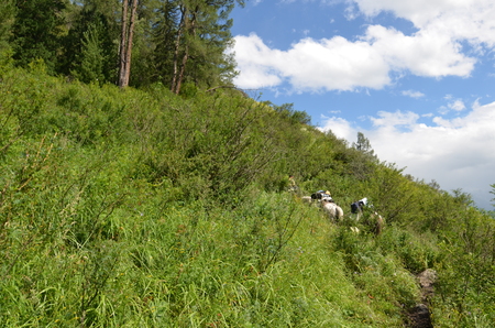 Travel to Altay Mountains during the holidaysの写真素材