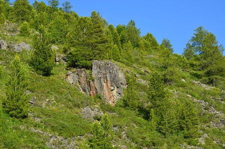 Travel to Altay Mountains during the holidaysの写真素材