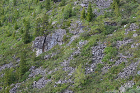 Travel to Altay Mountains during the holidaysの写真素材