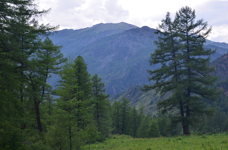 Travel to Altay Mountains during the holidaysの写真素材