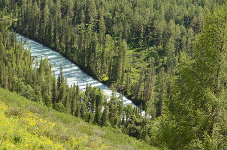 Travel to Altay Mountains during the holidaysの写真素材
