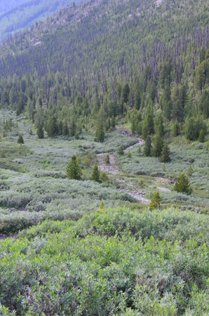 Travel to Altay Mountains during the holidaysの写真素材