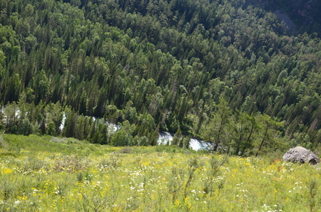 Travel to Altay Mountains during the holidaysの写真素材