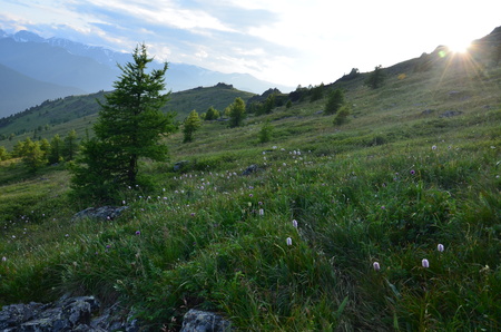 Travel to Altay Mountains during the holidaysの写真素材