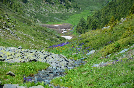 Travel to Altay Mountains during the holidaysの写真素材
