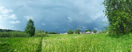 Field of grass in the village in Udmurtiaの写真素材
