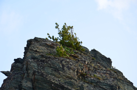 Travel to Altay Mountainsの写真素材