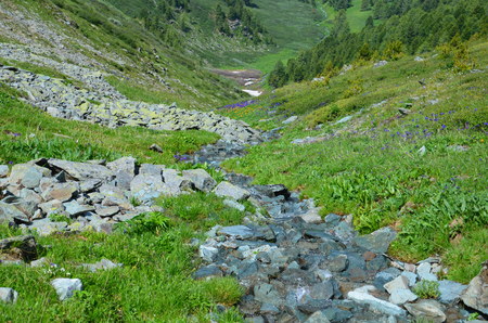 Travel to Altay Mountains during the holidaysの写真素材