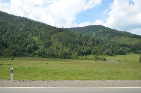 Travel to Altay Mountains during the holidaysの写真素材