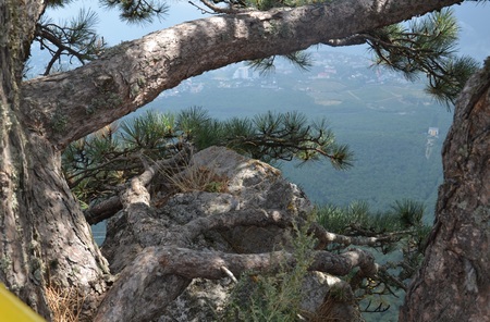 The Mount Ai-Petri over the Black Sea in Crimea, Russia. Ai-Petri is one of the highest mountains in Crimea and tourist attraction.の写真素材