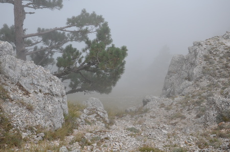 The Mount Ai-Petri over the Black Sea in Crimea, Russia. Ai-Petri is one of the highest mountains in Crimea and tourist attraction.の写真素材