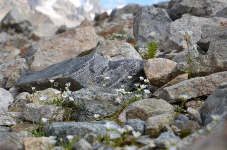 Acclimatization in the foothills of Mount Elbrusの写真素材