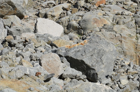 Acclimatization in the foothills of Mount Elbrusの写真素材