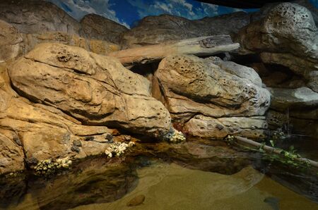 People viewing marine life in the underwater tunnelの写真素材