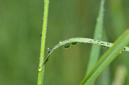 Raindrops on black glass on black glassの写真素材